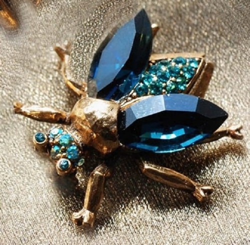 Broszka Niebieski Owad