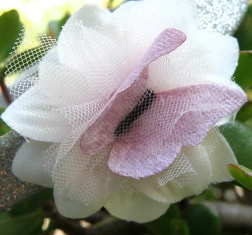 0773a32ff115a531c96f56d1d6f36f31