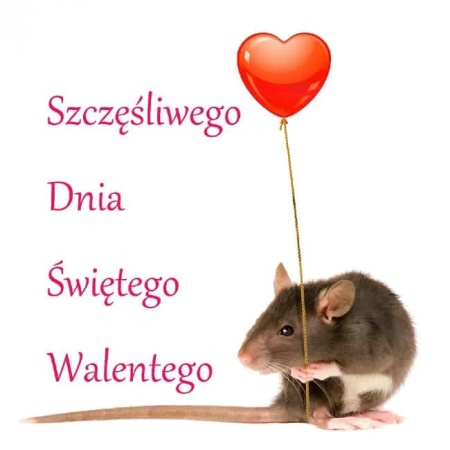 Walentynki 2022