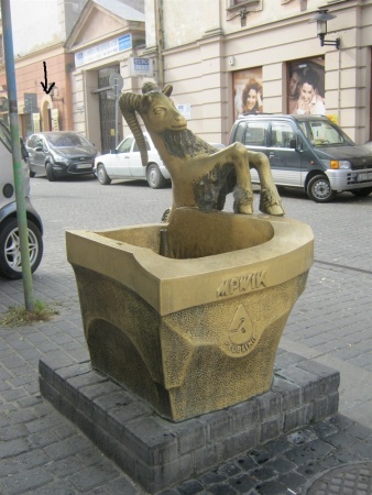 Nowy sklep sekret ślimaka